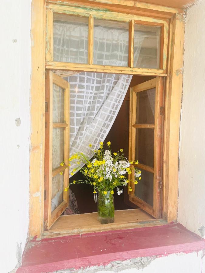 Tamazi Guest House Adishi 外观 照片